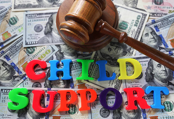 new child support laws 2025