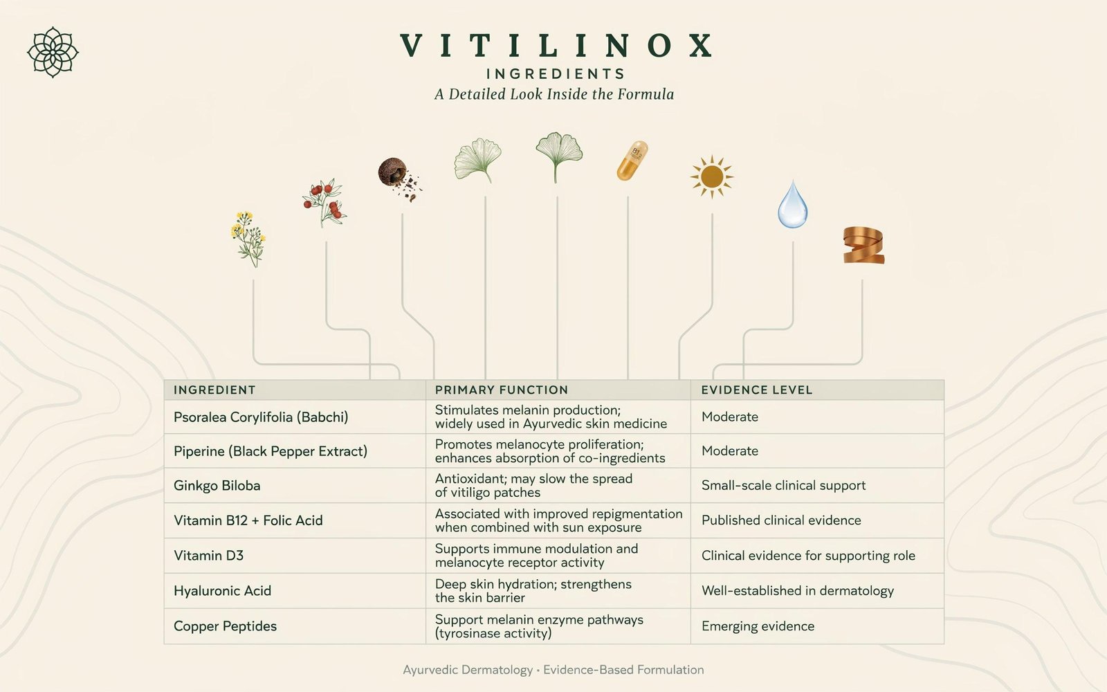 Vitilinox ingredients detailed breakdown